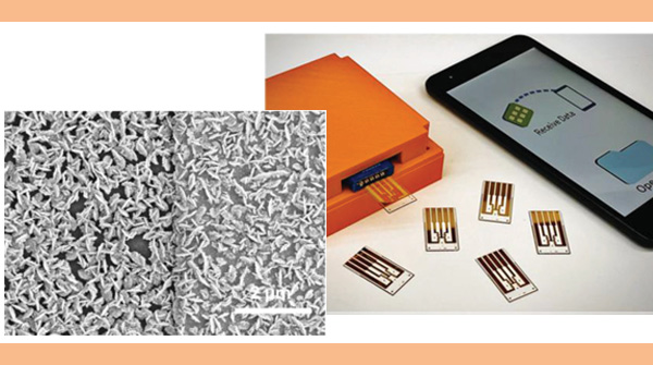 AdvPortfolio's tweet photo. A technique for detecting multiple COVID-19 antibodies was developed by @anisircar and team.

In the microchips, gold nanoparticles and enzyme-labelled probes enable electronic measurement of several biomarkers from a single drop of 🩸

👉 https://t.co/ktLWJYMqKY https://t.co/jevZDiyIIQ
