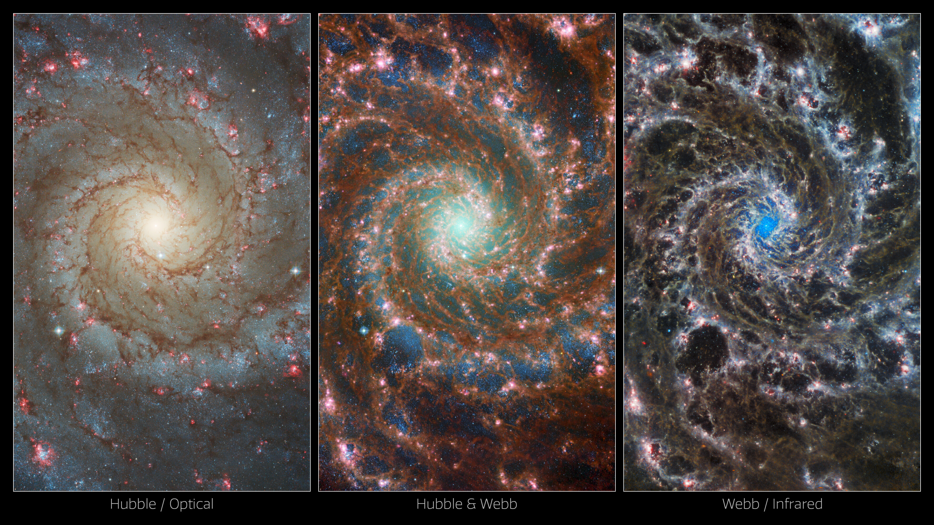This image is divided evenly into 3 different views of the same region in the Phantom Galaxy. At left is an optical view taken by Hubble. Arms carved of brown filaments spiral out from a bright galactic core. The arms have pops of pink, which are star-forming regions, and there are blue stars throughout. The middle view contained combined Webb and Hubble data. Lacy red filaments spiraling out of the center of the galaxy are overlaid over a black field speckled with tiny blue stars. The red filaments contain pops of bright pink, which are star-forming regions. Lighter oranges in the red dust mean that dust is hotter. Heavier older stars closer to the center of the galaxy are cyan and green, and contribute to a greenish glow at the core. At right is a mid-infrared image from Webb. Delicate gray filaments spiral outwards from the center. These arms are traced by blue and bursts of pink, which are star-forming regions. A cluster of young stars glow blue at the very heart of the galaxy.