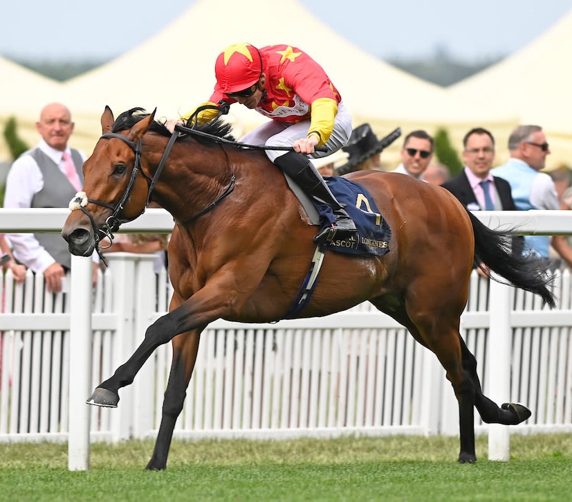 Very sad that State Of Rest was retired from racing today, but what a career he had. The only horse in the history of the thoroughbred breed to win three consecutive Group 1s on three different continents. Never beaten after hitting the front in a race. That sums him up.  #beast