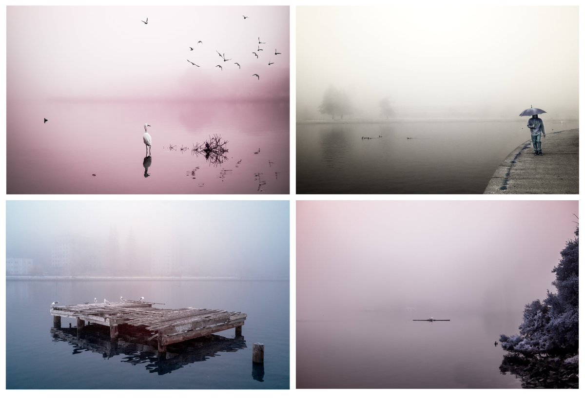 Some of my early infrared work featuring Lake Merritt. 

#LakeMerritt #algaebloom #sfbay