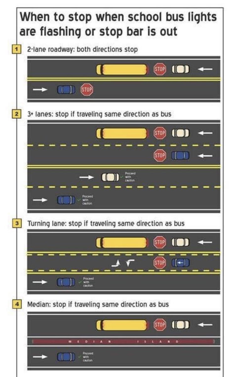 wspd3pio's tweet photo. #BacktoSchool2022 With all the kids headed back to school this week, let’s all remind each other when to stop for 🚌 🚌🚌🚌🚌 🛑🛑🛑🛑🛑🛑 https://t.co/tGTiW4iSGY