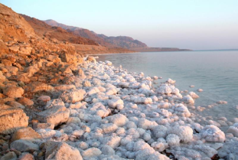 SunnyLandTours's tweet photo. Visit Jordan and Israel, experience the Dead Sea! Experience the Dead Sea and all its magic. Bordering Jordan and Israel is one of the worlds saltiest bodies of water. The hyper saline water makes floating easy, but creates an environment in which plants and animals cannot survi https://t.co/vfnQbmGjry