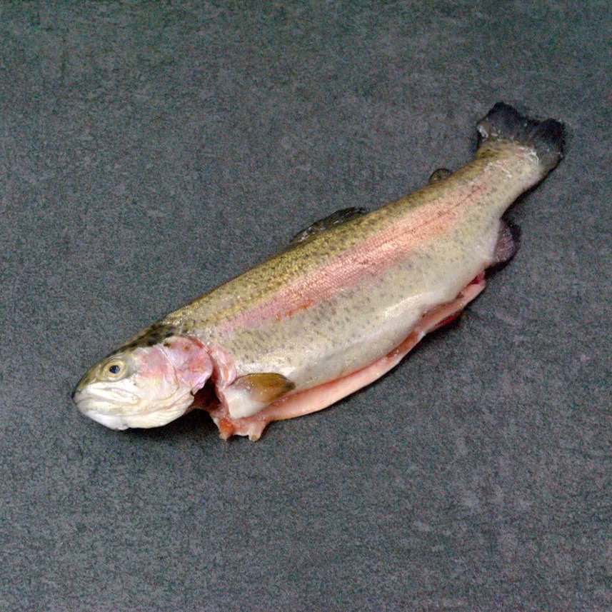 Marrfish's tweet photo. Save 15% on trout. A great alternative to salmon and just as versatile.
- https://t.co/nTyBlLgi3o
-
#fishsupply #trout #fishisthedish #homedelivery #salmonalternative #sustainableseafood #sustainablefish #fishbox #britishfish #freshfish https://t.co/zfrCijmcfb