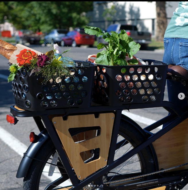 plus_ebike's tweet photo. Deemed the pickup truck of e-bikes - the Payload can take you and your passenger/groceries/gear across the street or across town with ease.
#magnumbikes #feelthepower #cargo #cargobike #cargoebike #ebike #electricbike #payload #electric #ev #groceries #pickup #ebikeplus #ottawa https://t.co/1tMad2iwv9