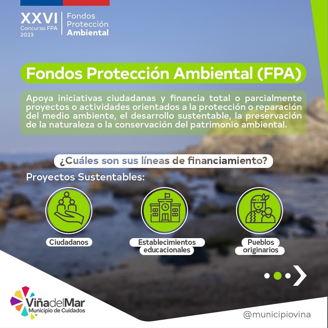 Medio Ambiente Viña tweet media