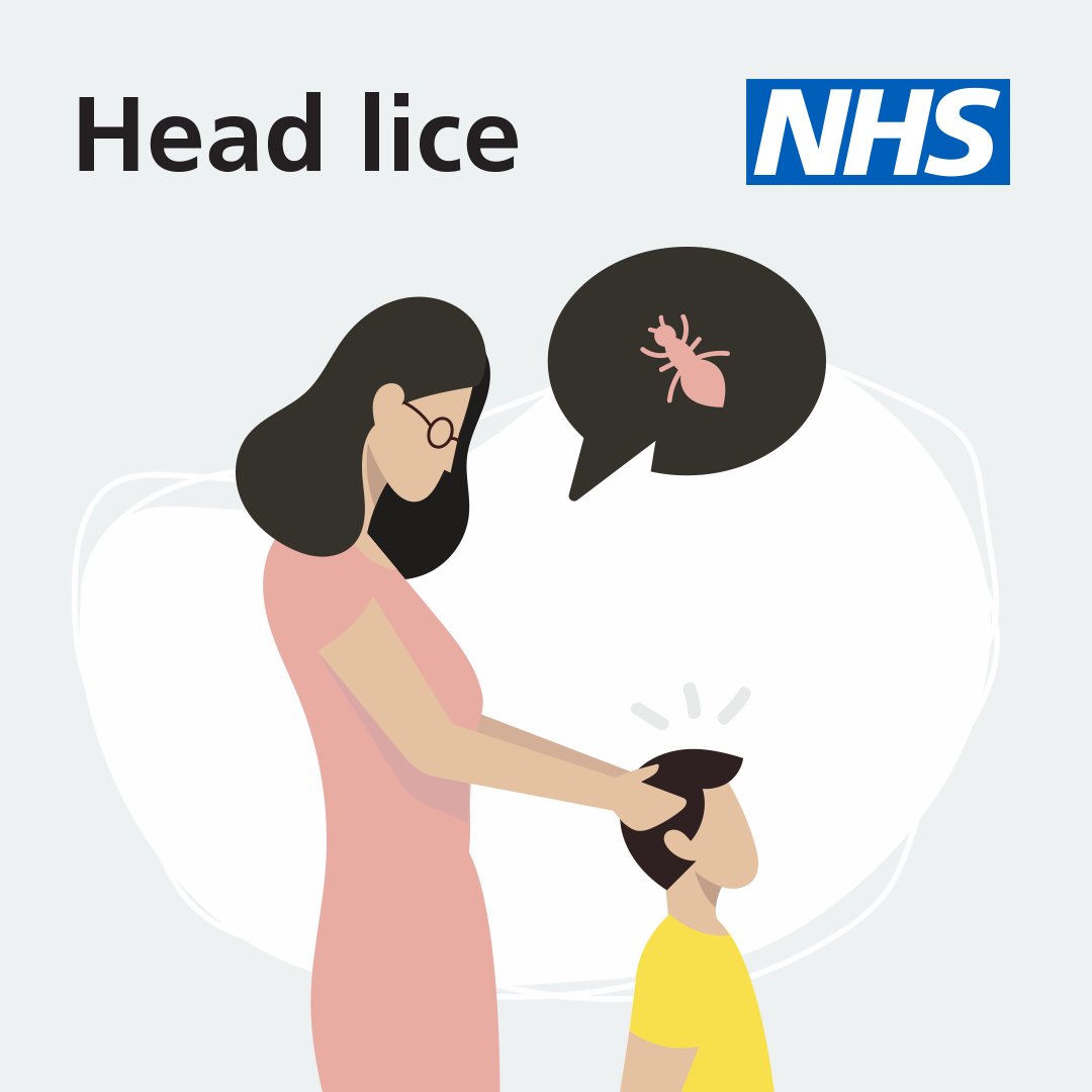 NHSuk's tweet photo. Ahead of children returning to school, here's a reminder to check your child's scalp for head lice and nits.

Here we explain how to treat head lice as soon as you spot them: https://t.co/GOipAlw03o https://t.co/eDZQ3d3vVG