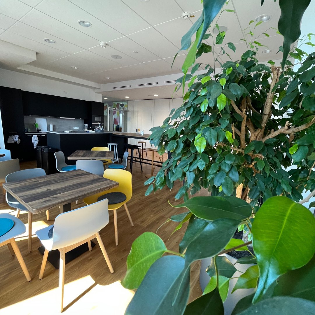 SinghammerIT's tweet photo. Kennst du schon unser cooles, modernes Büro? ✨ #itjobs #office https://t.co/iWfWrxpXjS