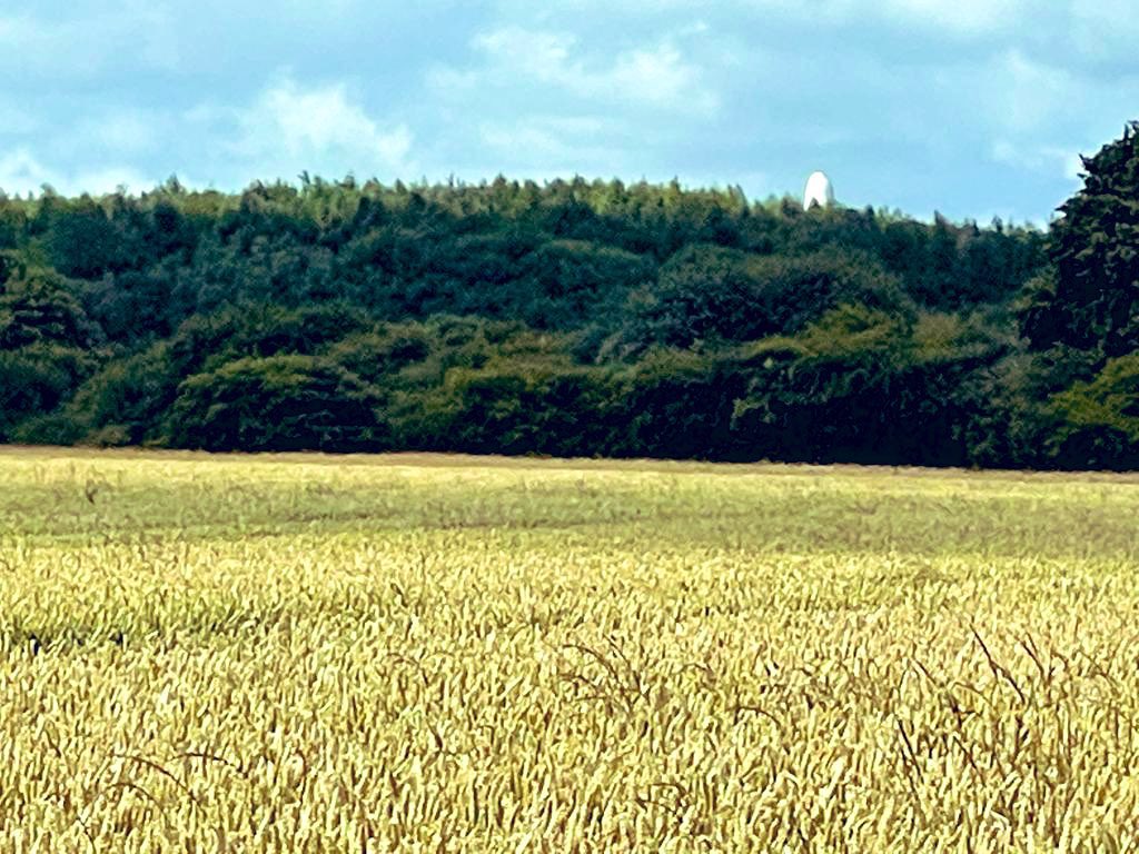 The next BOLD PARISH COUNCIL meeting will held at Chester Lane Library, on TUESDAY 6th September 2022, commencing at 7.15pm. It would be great if you could join us !