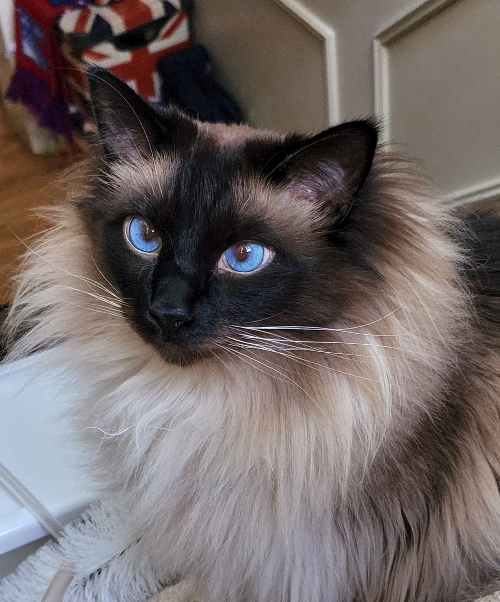 Brian King tweet media