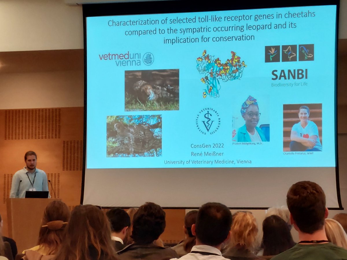 Bilbyboi's tweet photo. Great speedy talk by Rene Meißner at #ConsGen22 #KLIVV #vetmeduni Poster to come... https://t.co/RHqEnSLW4l