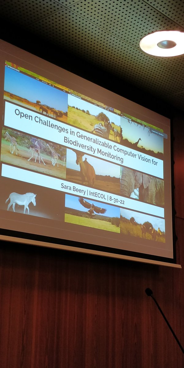 Our session on automated monitoring at #INTECOL2022 is currently coming to an end with a fantastic talk! Thanks to all the speakers and the supporters of @WSLbiodiversity and @snsf_ch