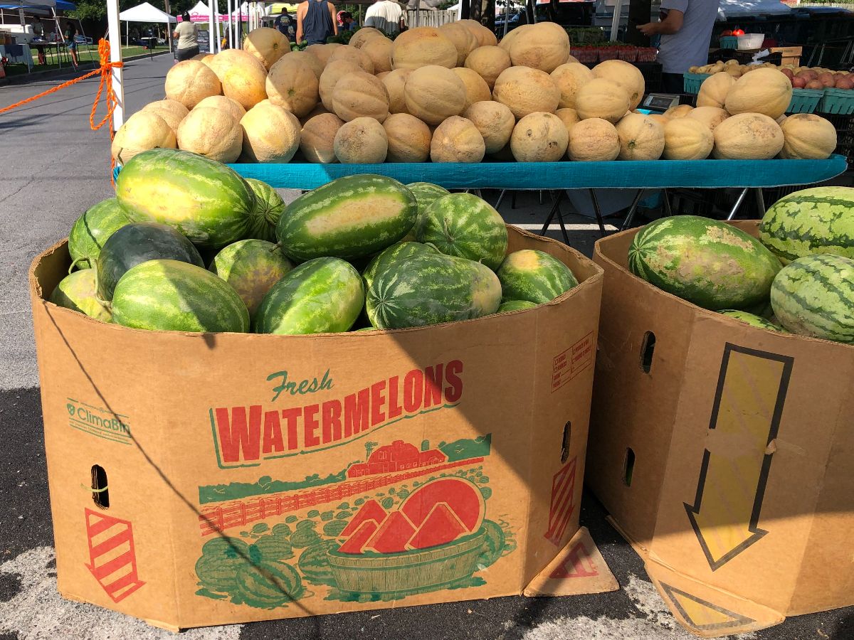 TOMMOROW: Back to School! - mailchi.mp/8f093ba9e33b/c… Summer vacation is officially over! Our student volunteers have been a huge help all summer, especially when market is at its busiest. If you know anyone interested in volunteering at market, check out our website to sign up!