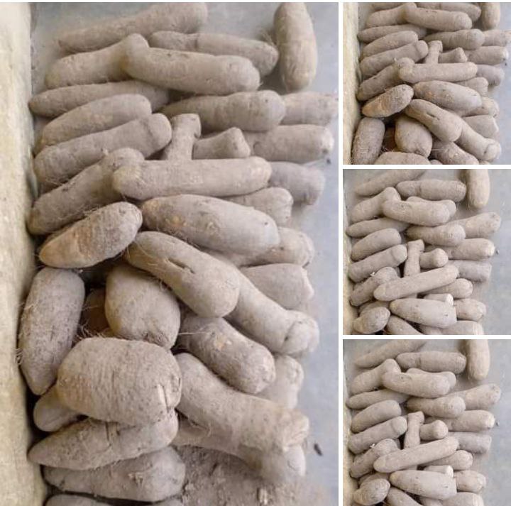 DuzieCrypto's tweet photo. #BreakingNews
This vendor is accepting 100% Picoin payment
👇👇👇
10 Tubers for 0.00007 Pi
20 Tubers for 0.00019 Pi
50 Tubers for 0.00035 Pi
Location: Akwa ibom, Nigeria WhatsApp: 07031179677

#PiNetworkUpdates #PiChainMall #Ethereum #pinetworknews #Crypto #PiPayment #Vitalik https://t.co/hYGA65u0Z7