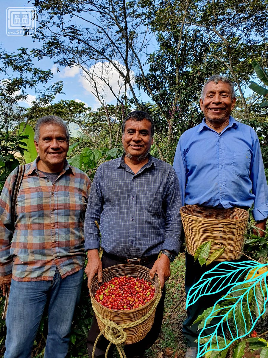 The only fair trade label 100% owned by small producers, that’s who we are. 
We work tirelessly to enhance:
✅ Positive social change
✅ Fair compensation for work
✅ Environmental Conservation
  
Join us to do fair trade as meant to be!
spp.coop