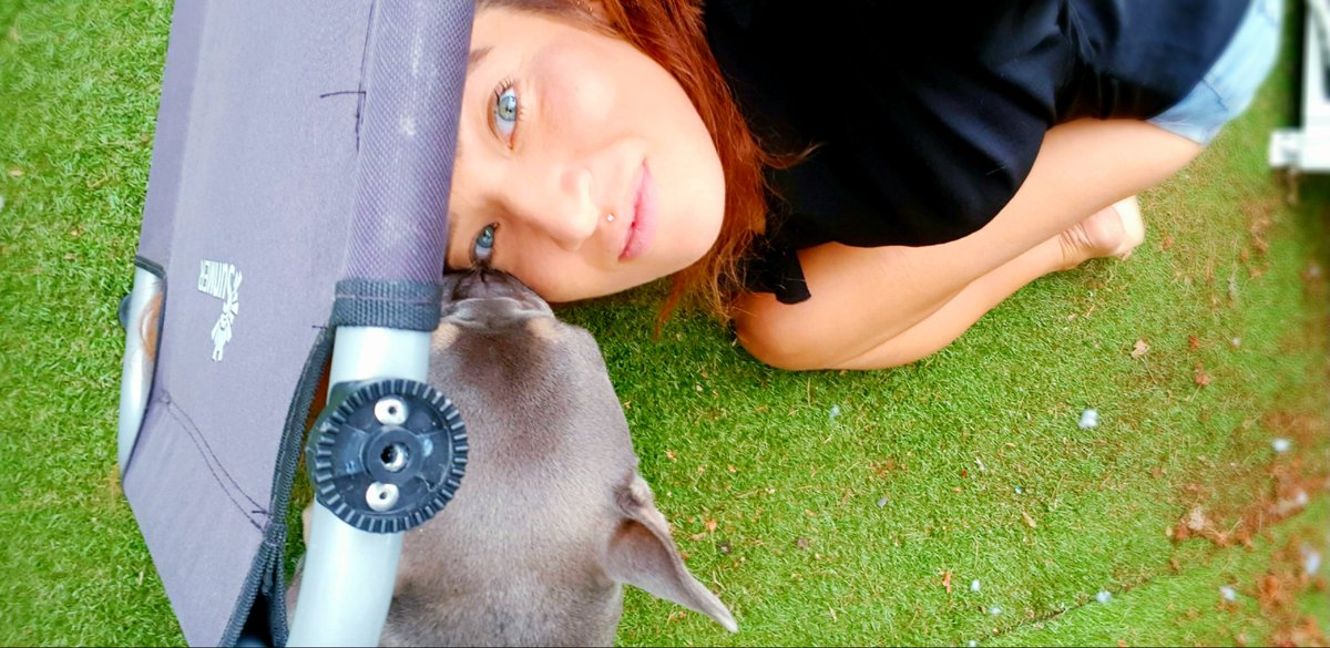 Rachel_Luby's tweet photo. Get a dog they said... it will be fun they said...
Meanwhile I am playing hide and seek with an upturned sun lounger...
He didn't look impressed at being "seeked" though. Much preferred finding me.
#puppy
#puppylove
#ReasonToStay https://t.co/9IR76tVON4