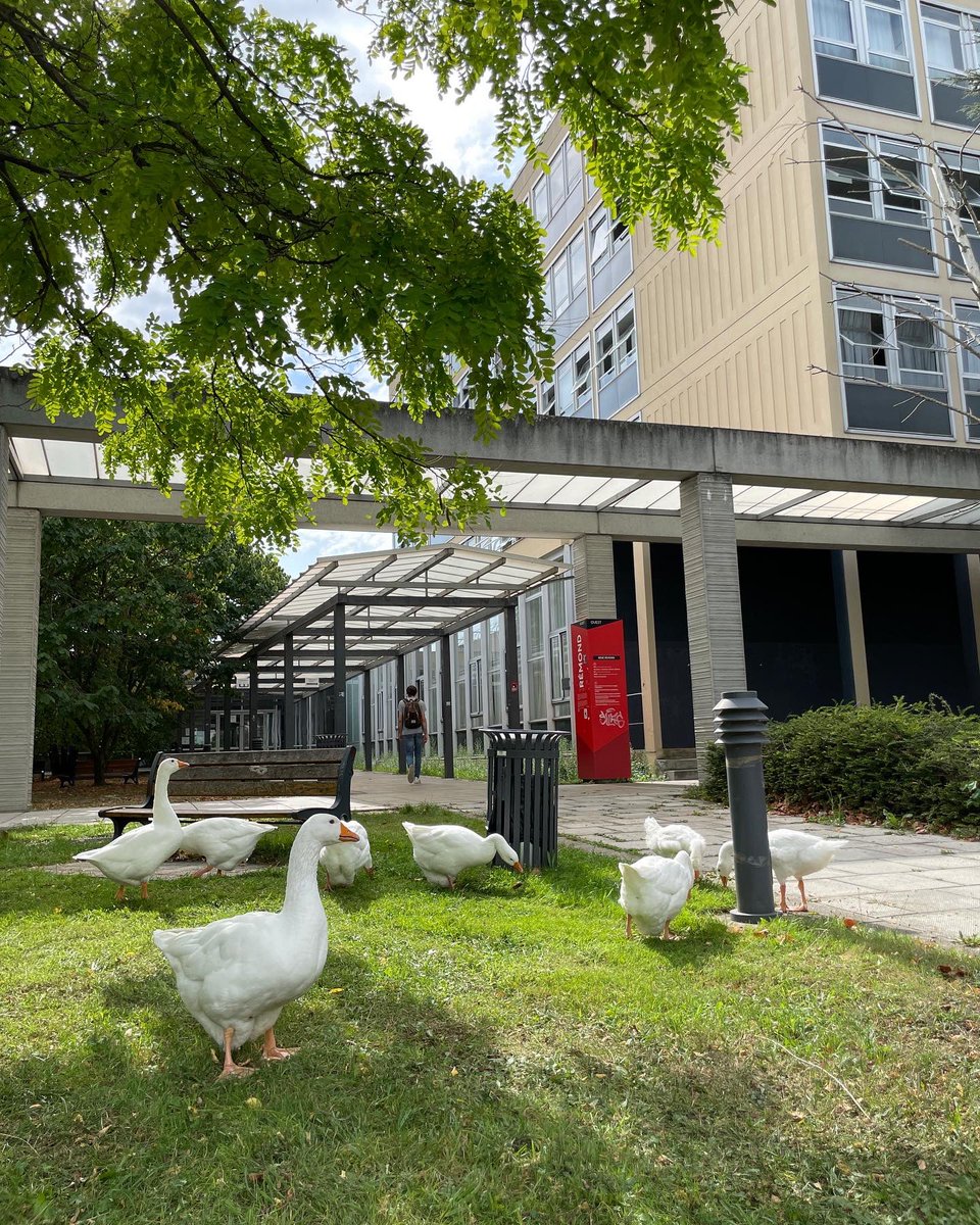🌳 On en connaît certaines qui profitent du calme du campus de Nanterre avant la rentrée !