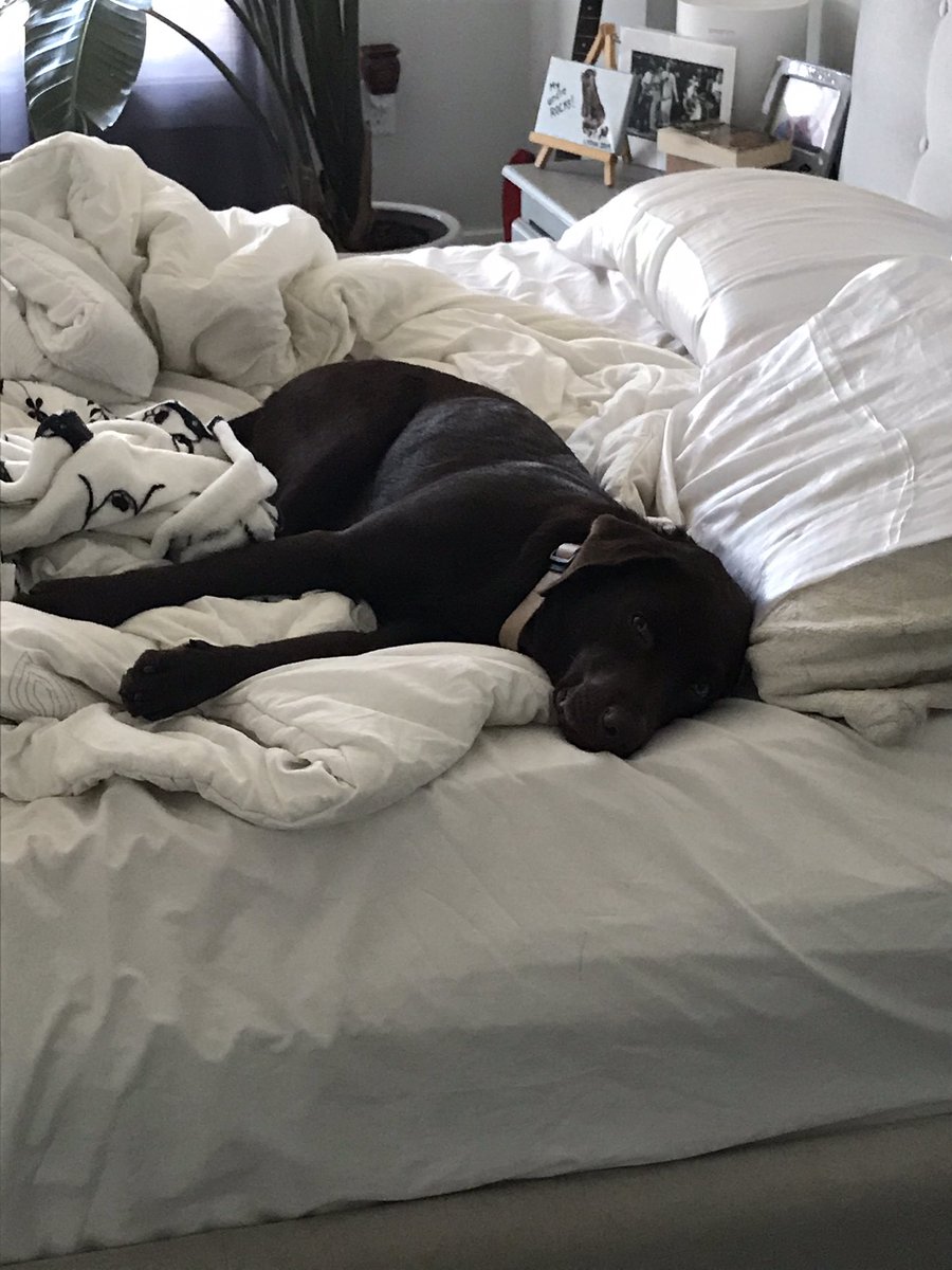 Wish this was me, instead of working like a dog