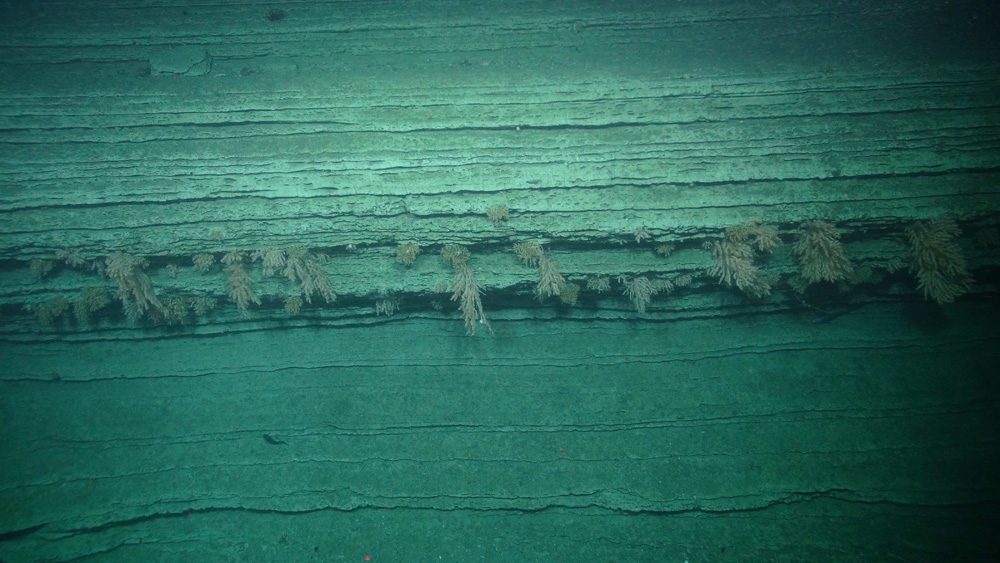 BritGeoSurvey's tweet photo. "It is like walking around on a beach, picking up stones & looking at cliffs, except under kilometers of water."
Scientists aboard the #JC237 expedition to Whittard Canyon are using ROV video & bathymetry to understand more about the geology of the area.
https://t.co/dboFaNYU6q https://t.co/LaIqNawHZU