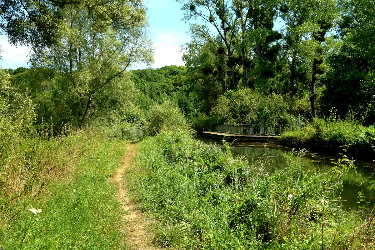 FrantceP's tweet photo. petite balade au pont-canal du Clignon https://t.co/tmziJg8Du1