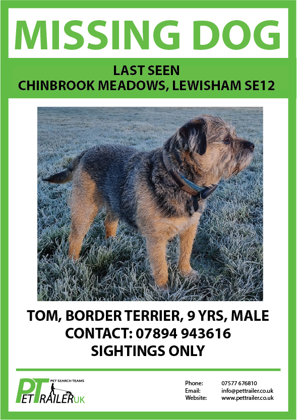 pettraileruk's tweet photo. We need your help - SIGHTINGS ONLY

#MISSINGDOG: 'Tom', Border Terrier, 9 yrs, Male

LAST SEEN: Fri 26th Aug 22 at Chinbrook Meadows, #Lewisham #SE12 

CONTACT: 07894 943616 or DM

RT, Share, We need a sighting 🙏

#lost  #dogsoftwitter #London https://t.co/L2YLVgEx3q
