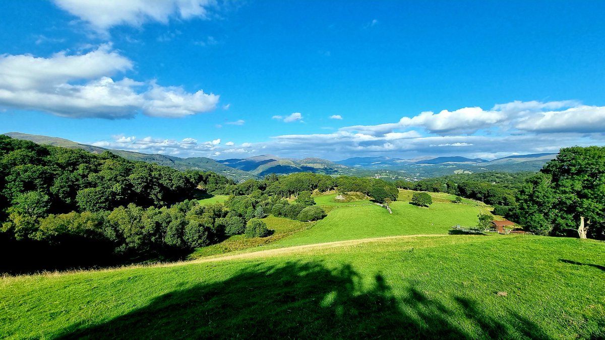 MaredLlwyd's tweet photo. Cylchdaith Bryn Abergwynant ar ddiwrnod hyfryd o Haf #northwales #Dolgellau #Meirionnydd #Abergwynant #AfonMawddach #BarmouthEstuary #SnowdoniaNationalPark #ParcCenedlaetholEryri https://t.co/yZURsU49AB