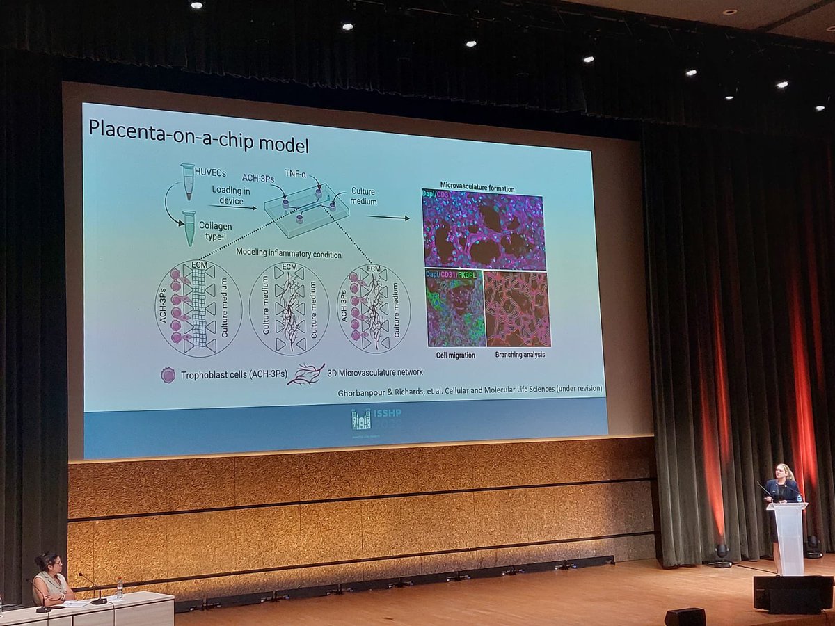 McClementsLana's tweet photo. Day 2 at #isshp2022 great talks and was delighted to share our data on #FKBPL regulation in our #placentaonachip model of early #placenta developed by my talented PhD student @SaharghprSahar ♥️🤩 https://t.co/lYBrZwU7Bt