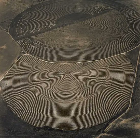 policefala's tweet photo. emmet gowin https://t.co/Purs07GcgZ