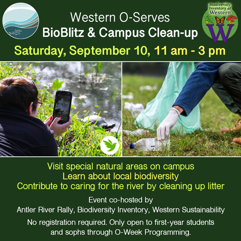 We are excited to partner with @westernuSustain @westernuSE @AntlerRvrRlly to host an event with new students as part of @WesternU O-Serves! Join us on Sept 10 for a BioBlitz and litter cleanup on campus. Learn how to ID species using @inaturalist and visit special natural areas