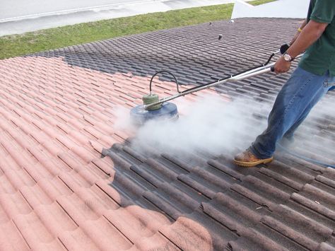 chelsa_smith1's tweet photo. Get Roof Pressure Cleaning Service in All Over Florida at Low Price, Contact "Prestige Commercial Cleaning" Now https://t.co/jMNGL3mWNz

#RoofPressureCleaningFlorida  #CleaningCompanyFlorida https://t.co/P4DN04U1L2