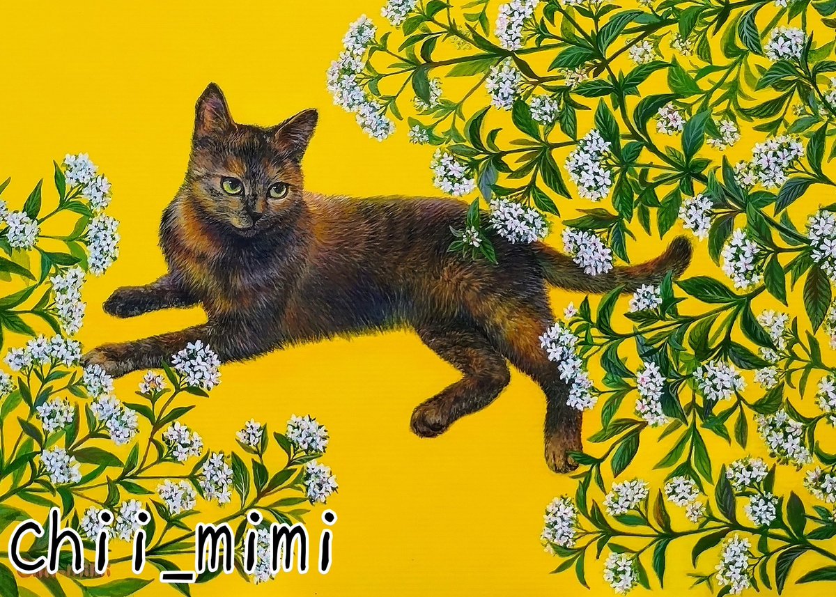 ペンタス のイラスト マンガ作品 42 件 Twoucan ペンタス のイラスト マンガ作品 42 件 Twoucan