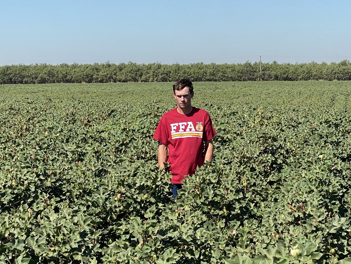 Golden Valley FFA tweet media
