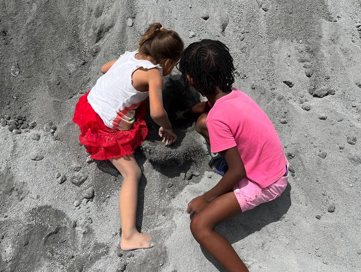 Solidarity Engineering tweet media