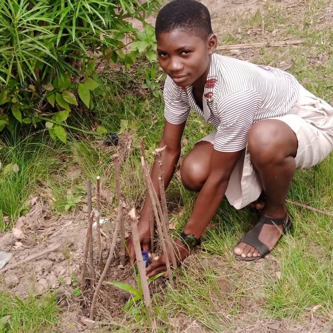 The Green Club implementing the Drip irrigation system, using plastic bottles with water sachets as plastic mulch on JG tree seedlings at Vume. <a href="/ElsieOwusuArch/">Elsie Owusu OBE</a> <a href="/hjaassoc/">Henry Abraham</a> <a href="/selasi_setufe/">Selasi Setufe</a> <a href="/_aksoa/">a.k.s. obeng-asomani</a> @LindseyBrummitt