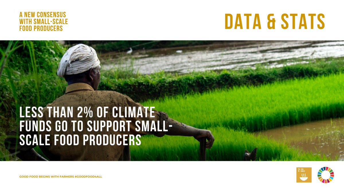 SDG2AdvocacyHub's tweet photo. In the face of climate change and repeating food crises, the last 2 calls to action of the #NewConsensus aim to ensure long-term sustainability and #resilience of small-scale food producers👨‍🌾
 
Find more info on the calls to action and the consensus here 👉https://t.co/PEj9wU99fJ https://t.co/MnX02wTRid
