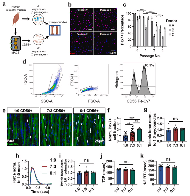 Somatic Cell Genome Editing (SCGE) Outreach tweet media