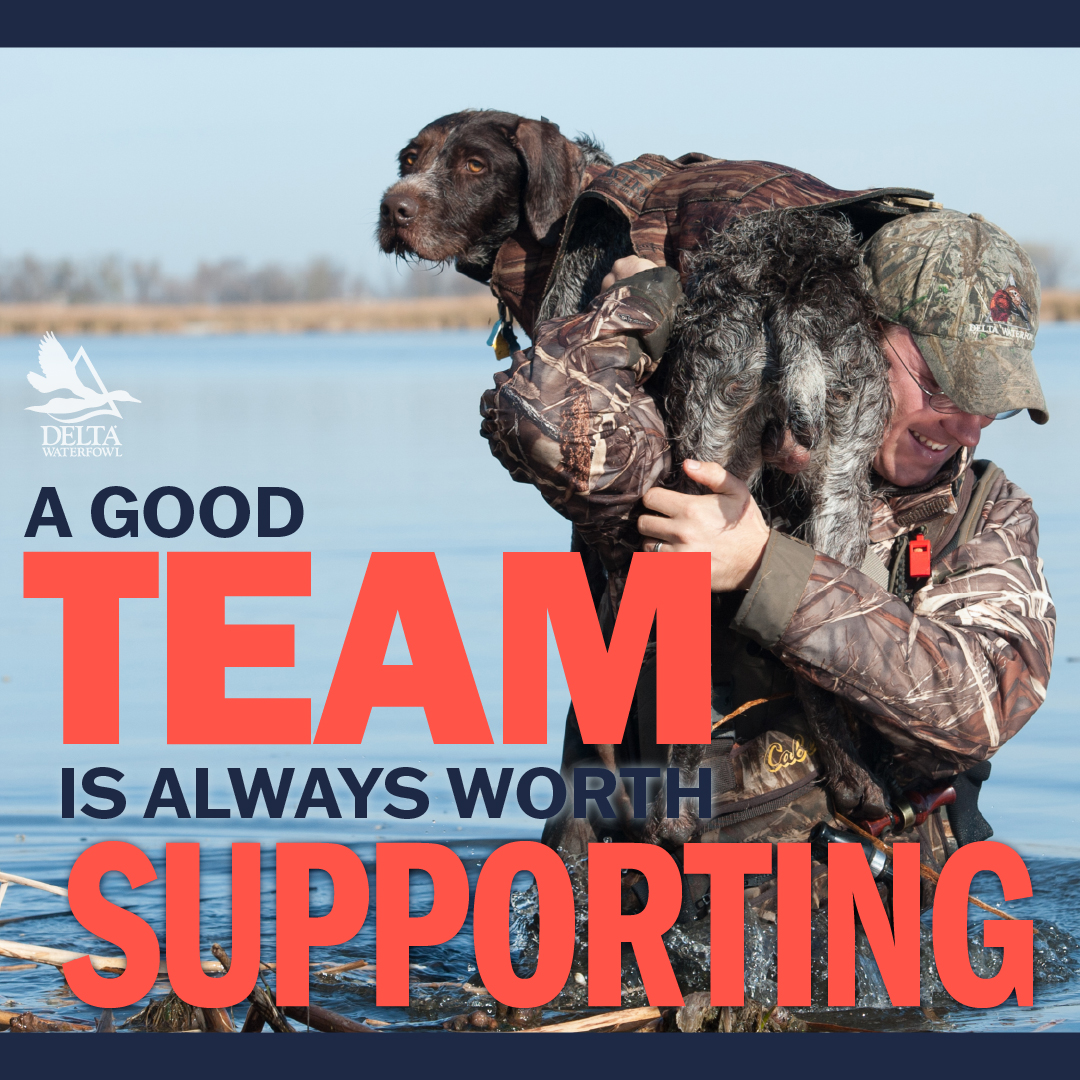 DeltaWaterfowl's tweet photo. Our team of #dedicated & #passionate professionals are focused on making a ๐ฆ#millionducks๐ฆ a reality right now! #DuckHunters #join the Million Duck Campaign! #Support @DeltaWaterfowl
https://t.co/dufmDkcvYk https://t.co/9kn0dbDJJU