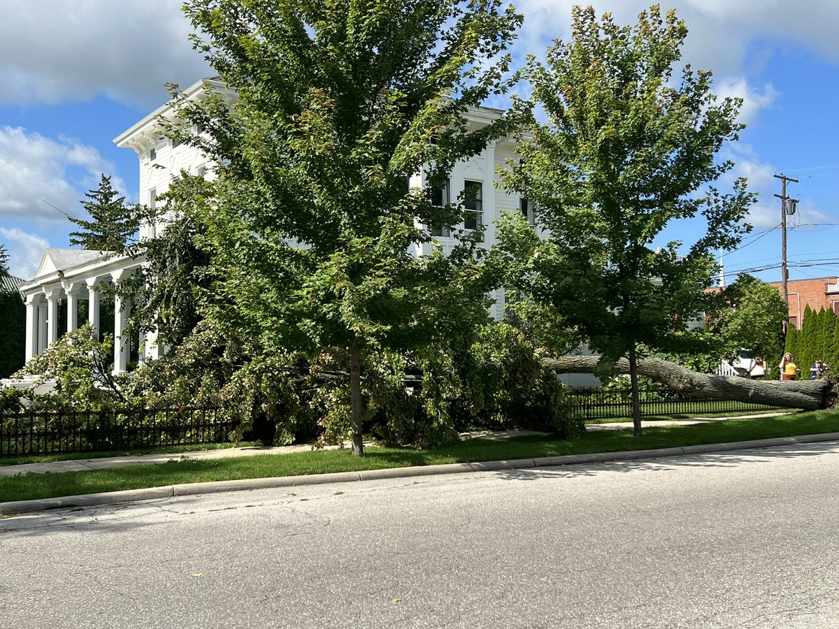 LowellHamrick's tweet photo. @NWSIWX more storm damage from Monday 8/29/22. Defiance Ohio Juliet Street at Jefferson Avenue. 7.2 foot diameter tree https://t.co/SdJLksrp6T