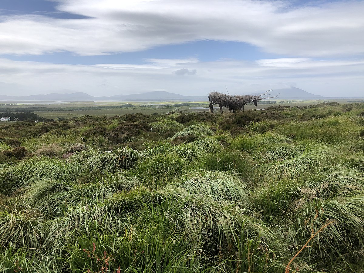 ambroise_baker's tweet photo. @c_guilfoyle1 will speak about a baseline for ecological restoration in Wild Nephin National Park @ Session 3.2 Monitoring Change During Rewilding #INTECOL2022 https://t.co/WG4tFlYpX0: @WildlifeBiol @Nature_Based @JCSvenning @SaraKingUK @AlanLaw_ #rewilding #ecology #ECR #ireland https://t.co/SCC8ho1SsA