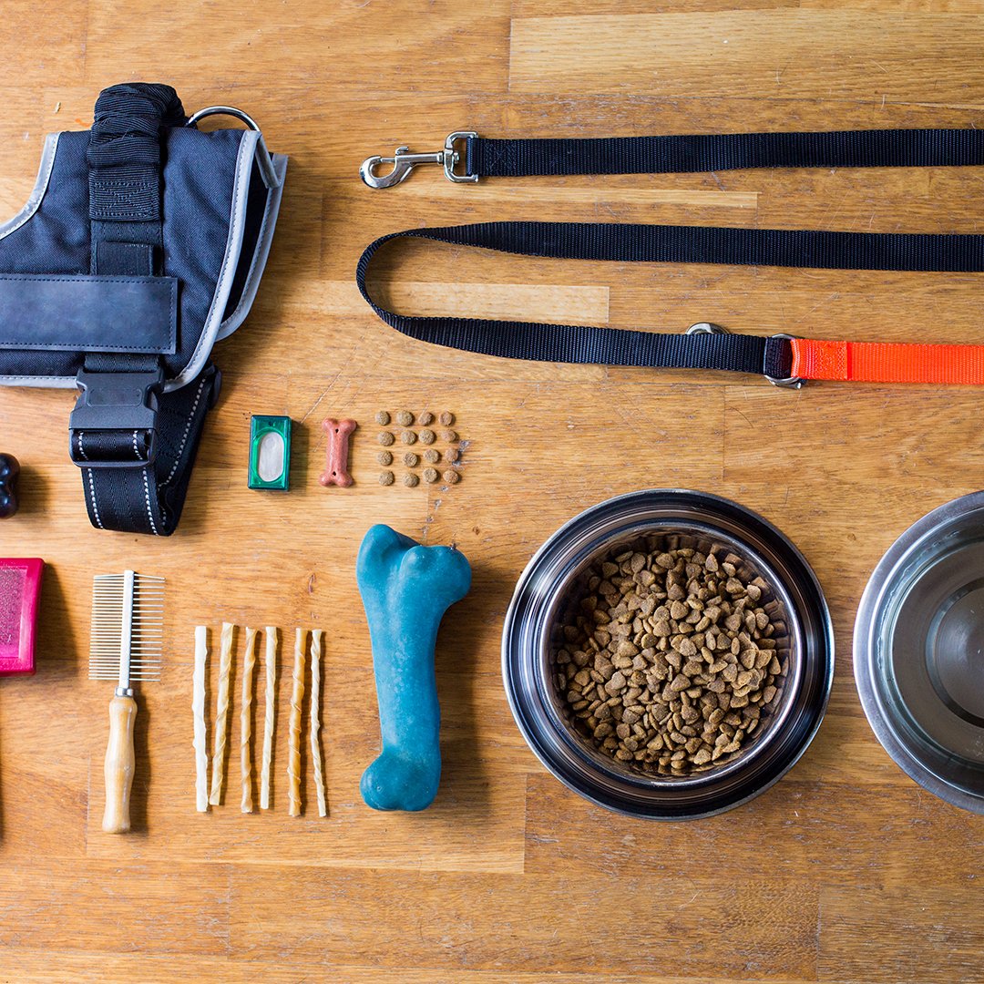 If an evacuation is ordered, do you have a go-bag ready for your furbabies to roll with you? Learn more about how to help keep the furry, four-legged members of your family safe and calm in the chaos. farme.rs/PetPrepardness