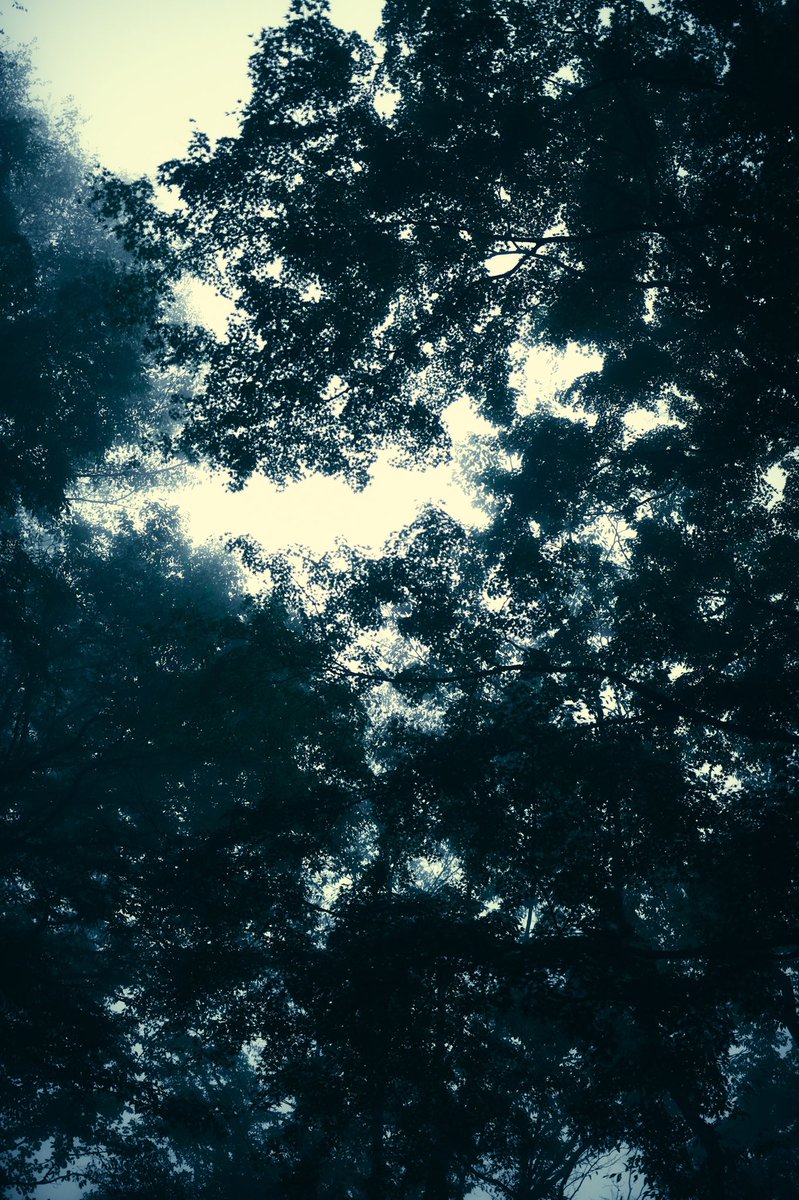 箱根スナップ
