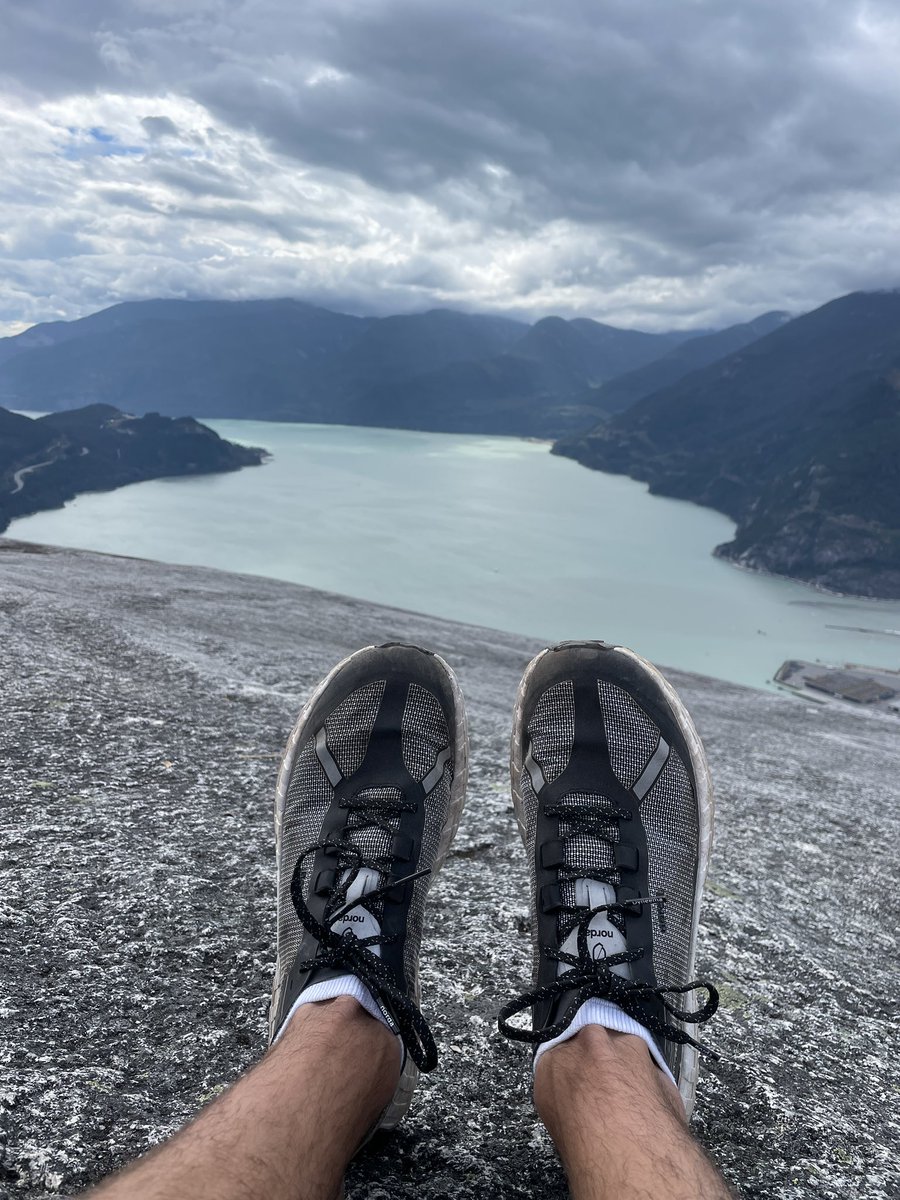 Peter McMath tweet media