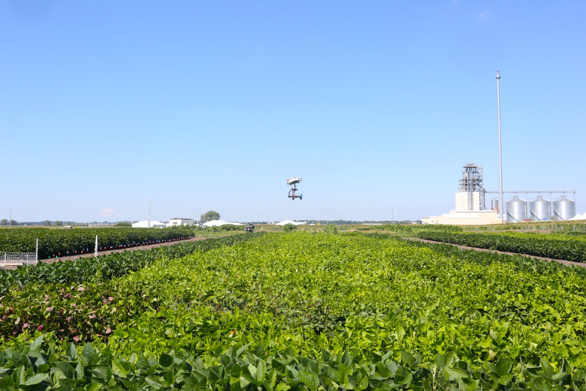 RIPEproject's tweet photo. HIRING: A postdoc who will be in charge of conducting research on advancing development and application of high-throughput phenotyping techniques to improve understanding of crop physiology-environmental interactions #plantscijobs 

Apply here: https://t.co/T1Lw76oCBf https://t.co/LV7FCKH4SS
