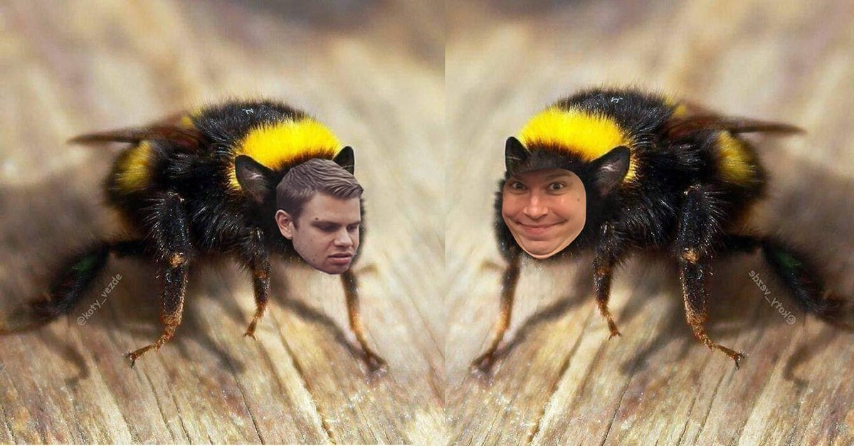 Cornflower🌼 tweet media