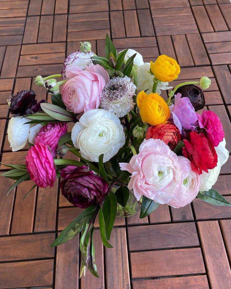 TheBouqsCo's tweet photo. Thanks for sharing the #bouqlove πΈ: @trishhluxe π Remember to share pics of your arrangements and use #bouqlove for your chance to win* a free Bouq!
*Winners selected at the end of each month. https://t.co/qhPSubawen