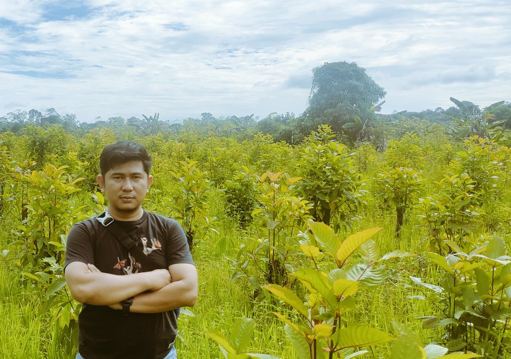 Rootanical2's tweet image. Ready