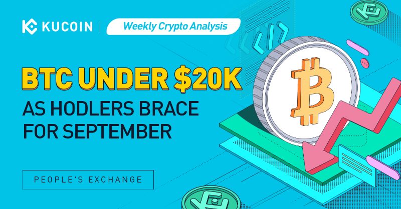 kucoincom's tweet photo. 📉 #Bitcoin price tanks after news of potential US central bank interest rate increases 📉

What’s next in store for the #crypto market? 👀

Click 👇 for the latest #cryptocurrency news and #BTC technical outlook.