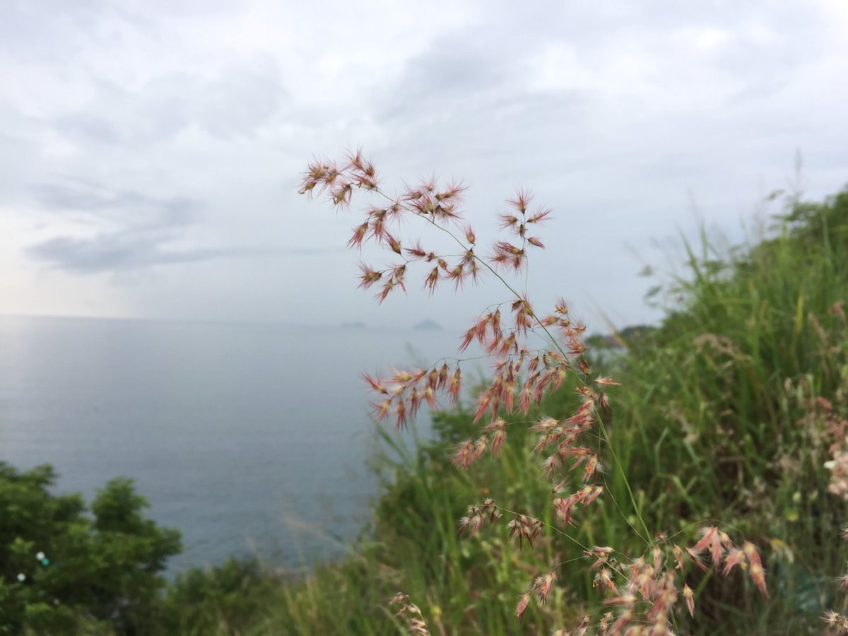 AmTracy55's tweet photo. Cuối mùa.
#sightseeing
#beautifullife https://t.co/2M1taMOBoe