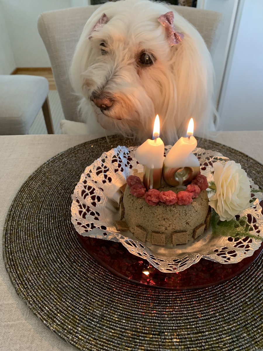 Irene Salo tweet media