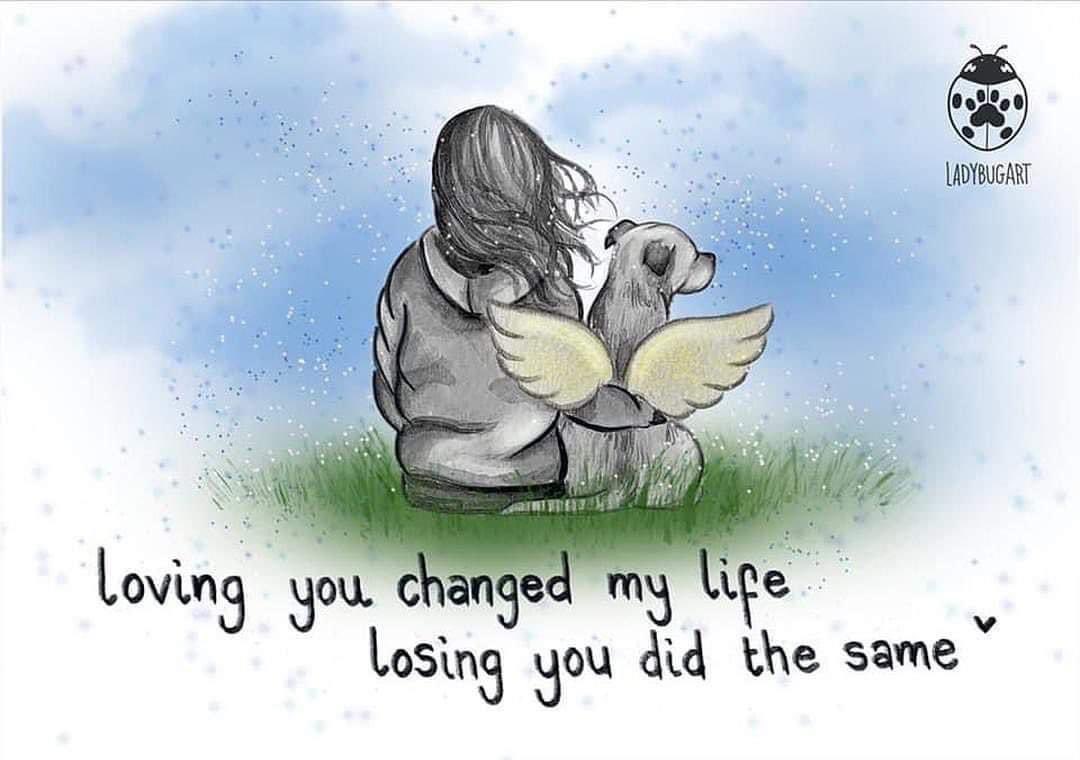 Lisa Cunningham tweet media