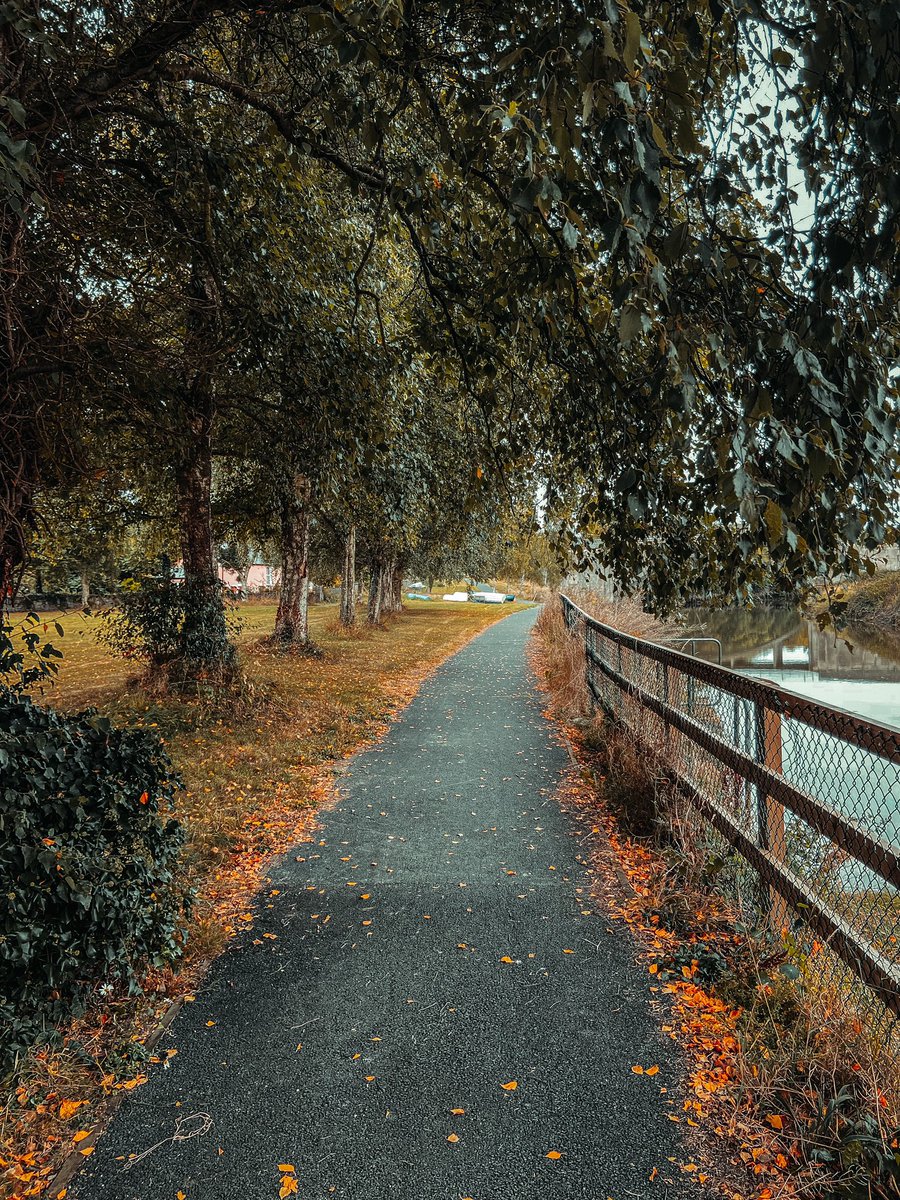 AskeatonTown's tweet photo. What a difference a few weeks can make 👀 

#Limerick is ready for autumn 🍂 https://t.co/VWsRicppUL